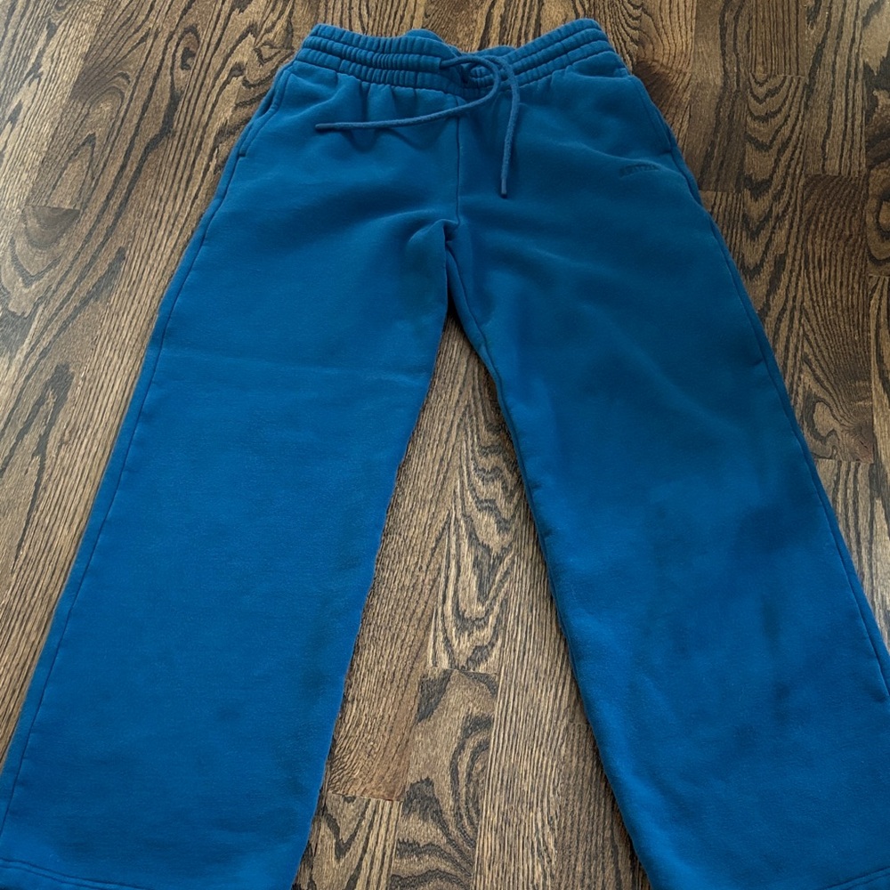 Aritzia Sweatfleece Teal Sweatpants